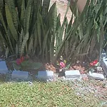 Ap 1 Quarto Com Cozinha Canasvieiras