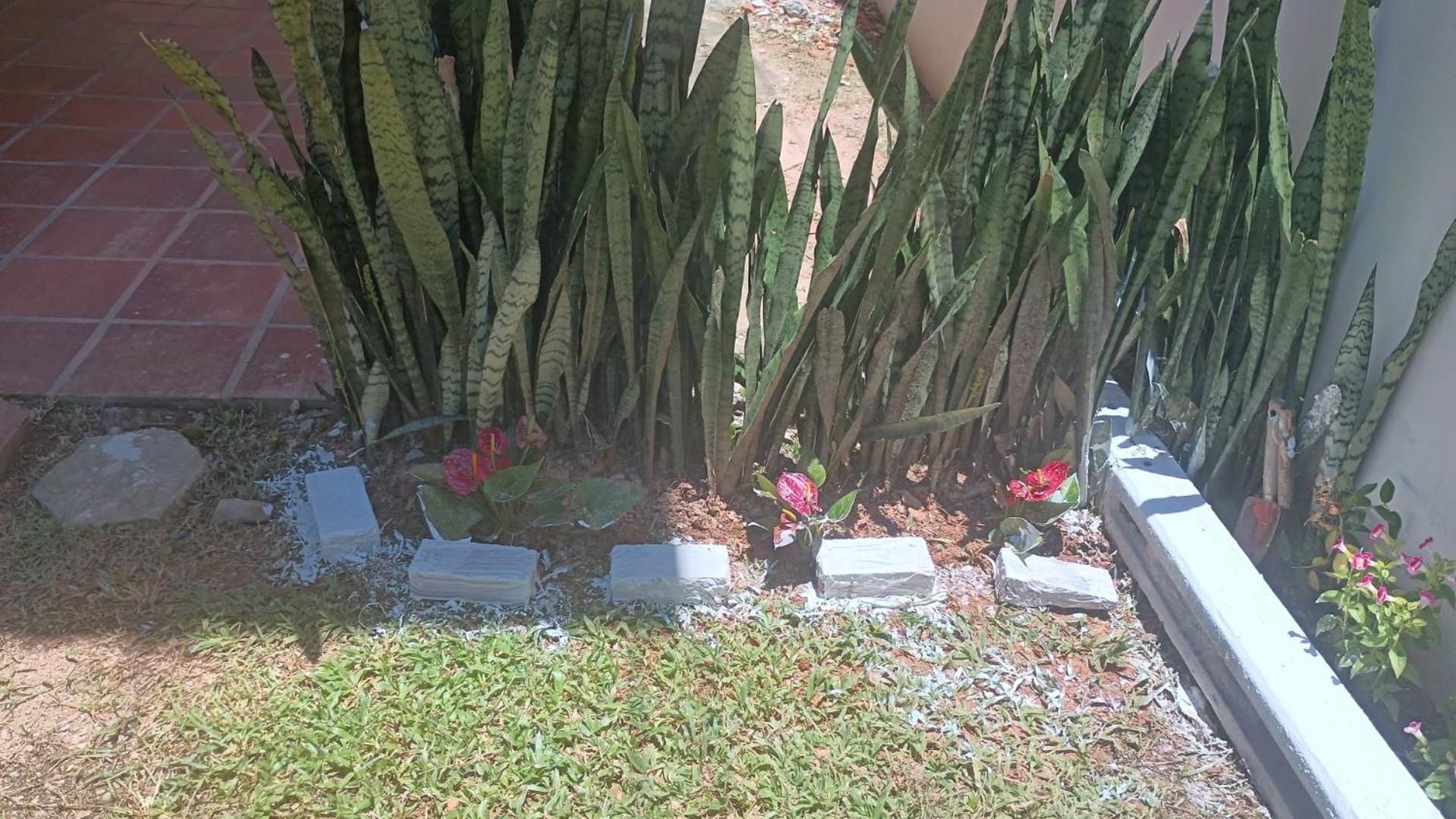 Apartamento Ap 1 Com Cozinha Canasvieiras